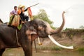 Elephant hapiness with water after Ordination parade on elephant